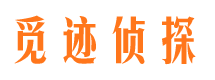 三元市私家侦探